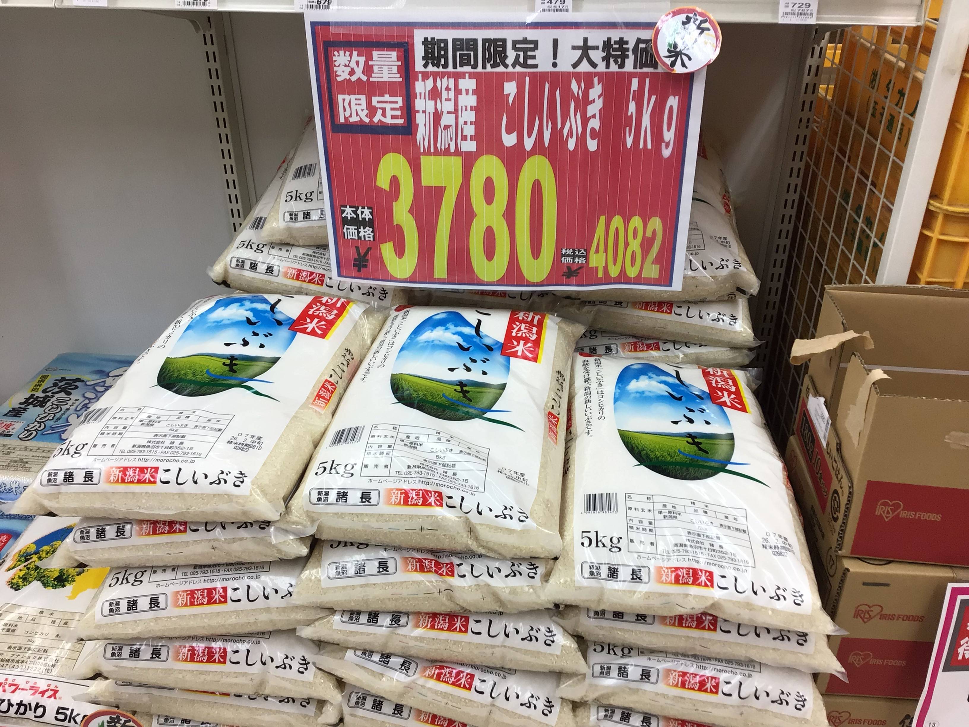 ノクティ感謝祭実施中!