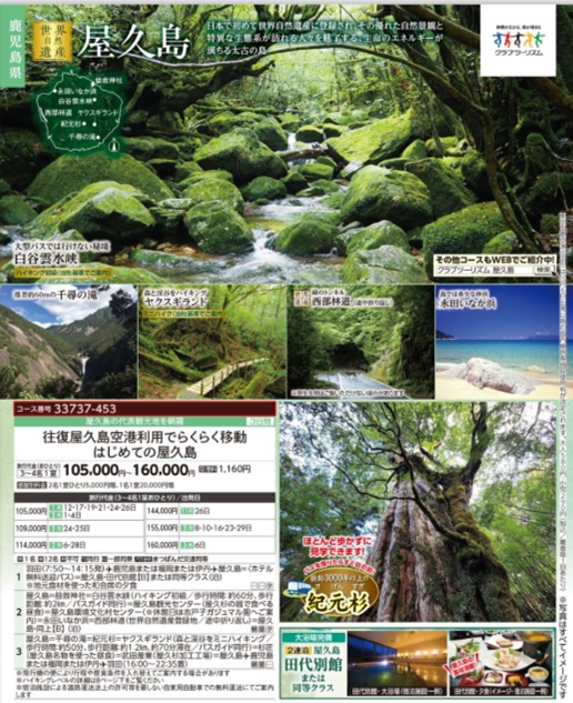 【往復屋久島空港利用でらくらく移動 はじめての屋久島3日間】