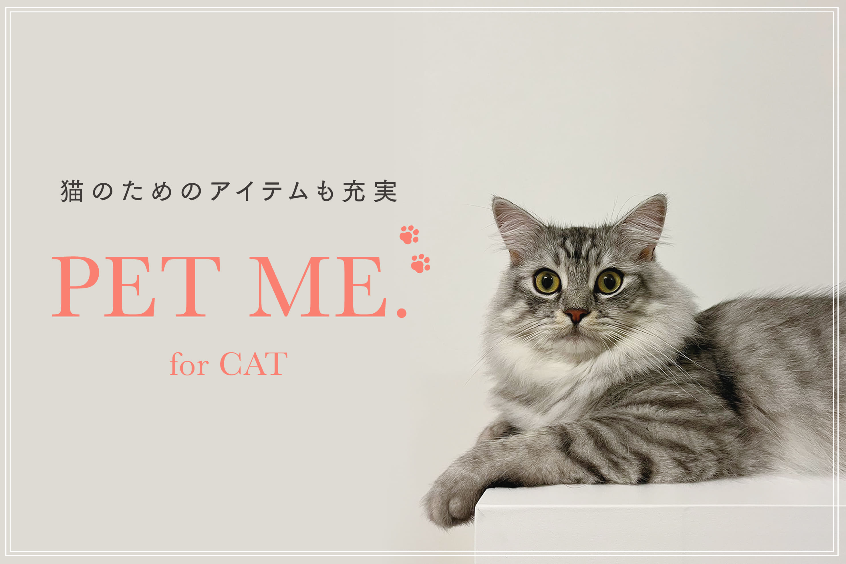 愛猫との毎日がもっと楽しくなる新作グッズ