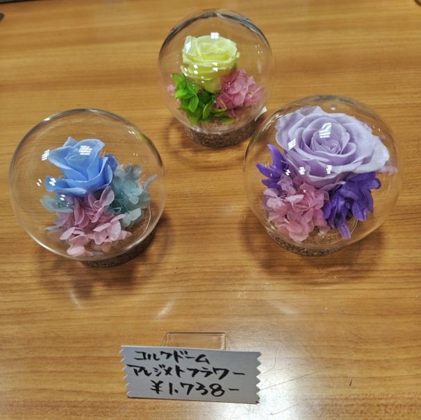 コルクドームアレンジメント