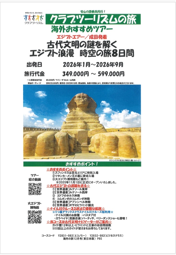 ツタンカーメンの王墓貸切見学&スフィンクスは足元まで特別入場!(新年号P111)