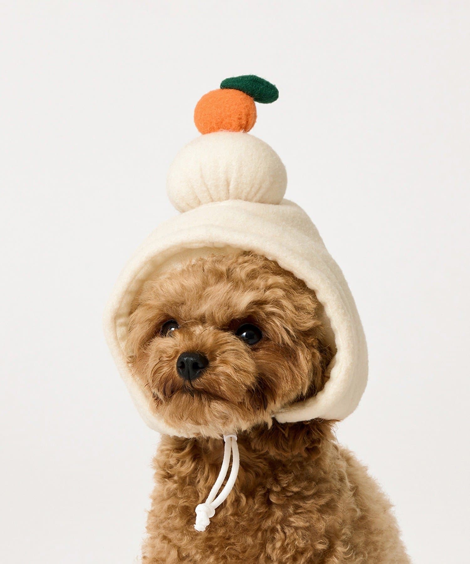 ペット用鏡餅のかぶり物 ¥550(税込)