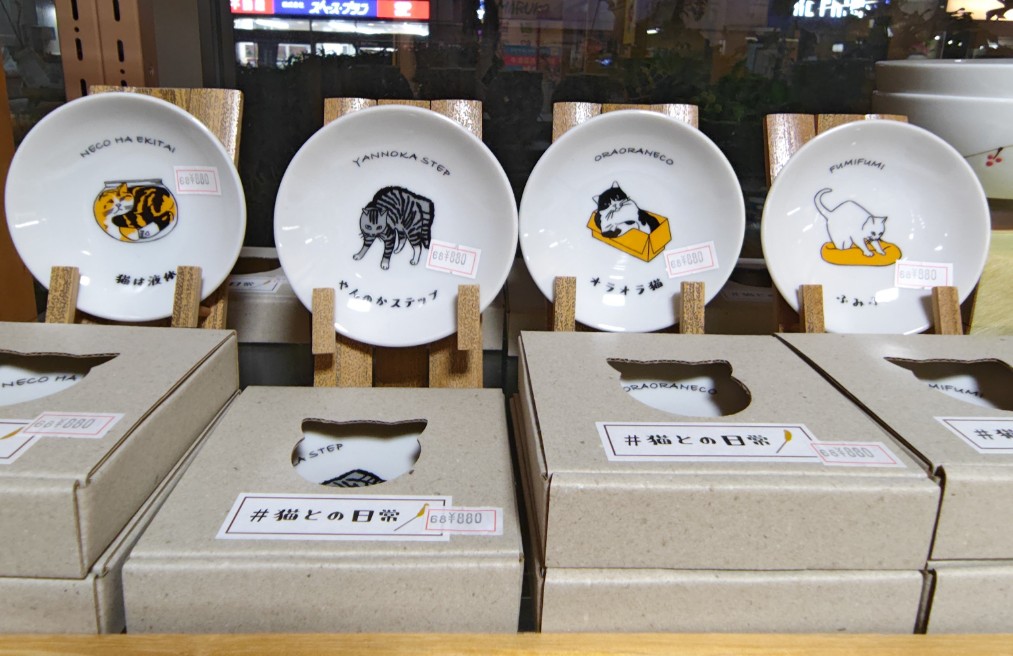 お家の猫ちゃんに似ている子はいませんか？