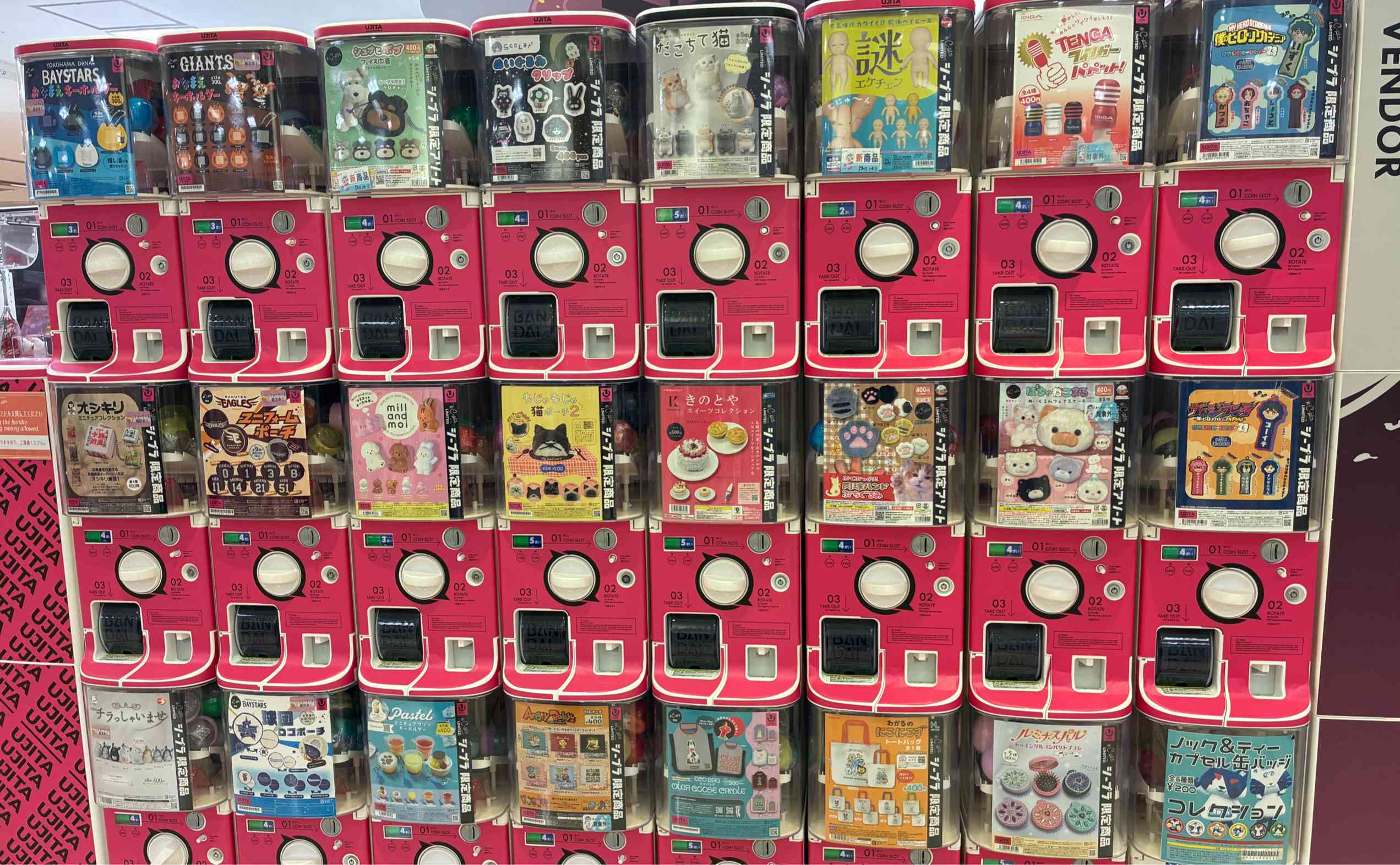 スタッフおすすめ