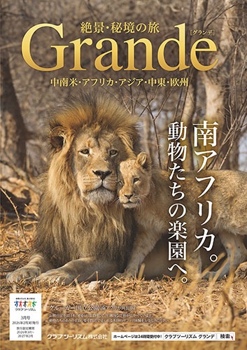 今年は南部アフリカが大人気！サファリやビクトリアの滝への旅はアフリカに強いクラブツーリズムで！