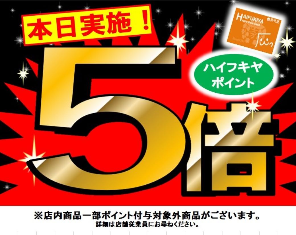 ★本日ポイント5倍★